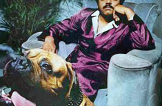 Dexter Wansel, Kool Summer